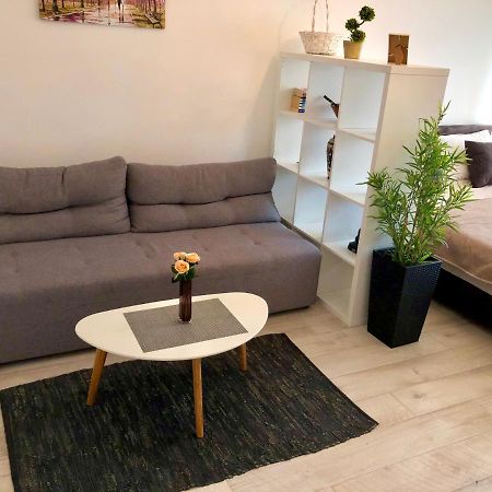Modern Studio Belgrade Extérieur photo